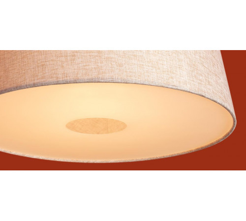 Подвесной светильник Freya Butler FR2057PL-01BG