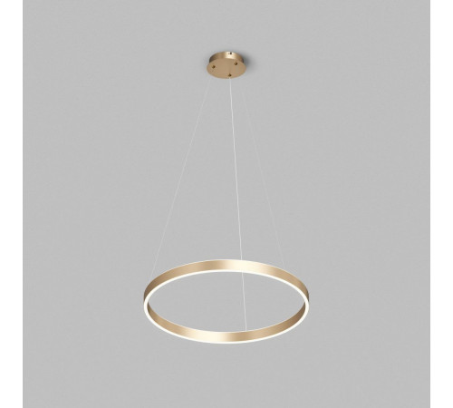 Подвесной светильник Denkirs Raydia DK6273-SG