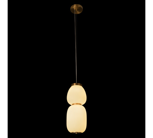Подвесной светильник Loft IT Duff 10422/A