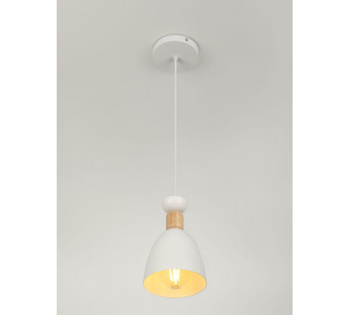 Подвесной светильник Rivoli Catherine 5109-201 Б0069910