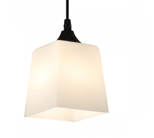 Подвесной светильник Escada Zen 160003/1P Black ES0000025