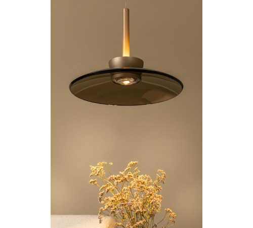 Подвесной светильник Lucide Santiago 23401/12/62