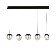 Подвесной светильник Delight Collection MD24001033-5B black/clear