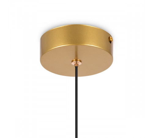 Подвесной светильник Freya Planetary FR6081PL-L10G