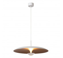 Подвесной светильник Lucide Kenneth 41412/60/31