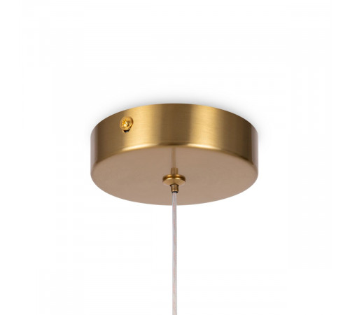 Подвесной светильник Freya Magnet FR6106PL-L13G