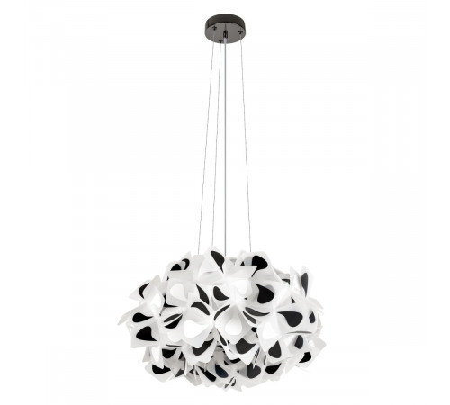 Подвесной светильник Loft IT Clizia 10595/530 Black