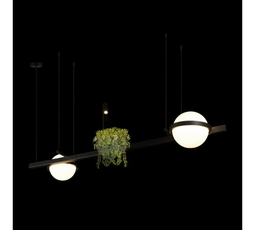 Подвесной светильник Loft IT Jardin 10121/D Подвесной светильник Loft IT Jardin 10121/D