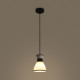 Подвесной светильник Freya Topi FR5503PL-01B1
