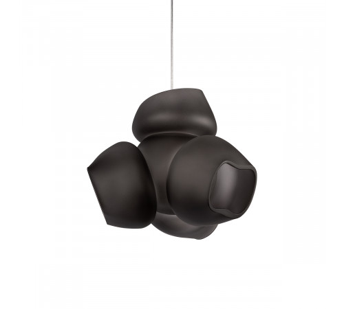 Подвесной светильник LOFT IT Cluster 10467P Black