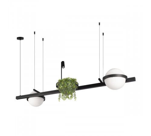 Подвесной светильник Loft IT Jardin 10121/D Подвесной светильник Loft IT Jardin 10121/D