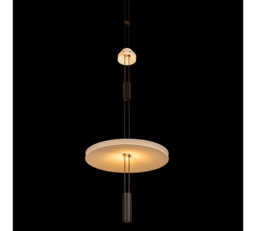 Подвесной светильник Loft IT Flamingo 10598B