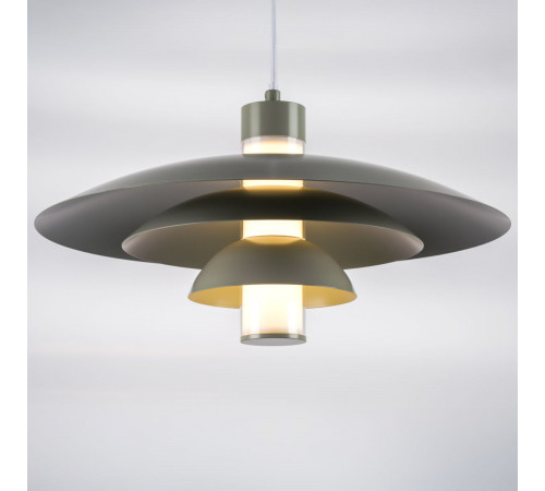 Подвесной светильник Lightstar Erbareo 799019