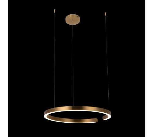 Подвесной светодиодный светильник Loft IT Ring 10013L Подвесной светодиодный светильник Loft IT Ring 10013L
