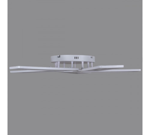 Потолочная люстра Reluce 03629-0.3-05B WH