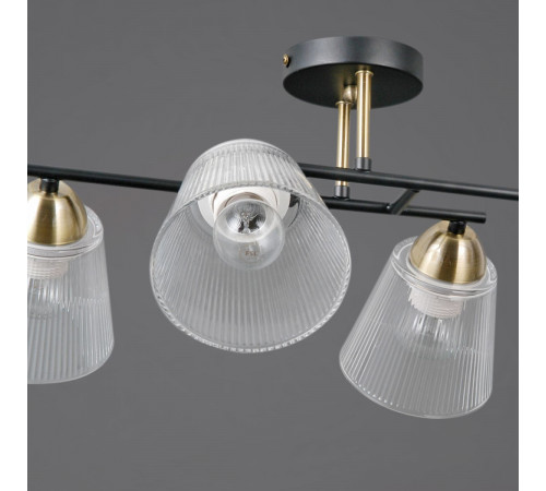 Потолочная люстра Illumico IL0845-4CSQ-25BKAB ELITE