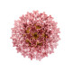Потолочная люстра Loft IT Murano 10580C/500 Pink