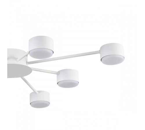 Потолочная люстра Lumion Comfi Torina 8343/8C