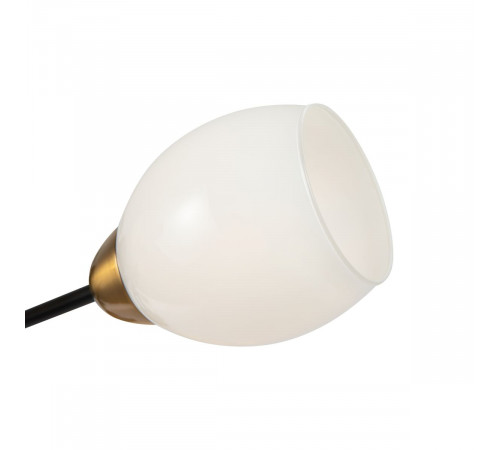 Потолочная люстра Freya Lucid FR5240CL-08B