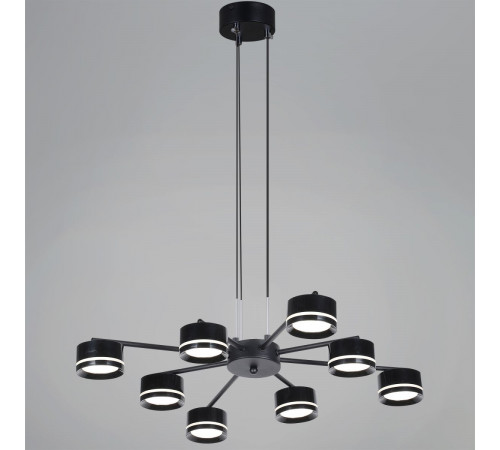 Потолочная люстра Reluce 19490-0.4-4+4 Black