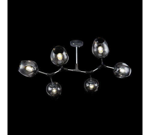 Потолочная люстра Freya Desi FR5006CL-06B