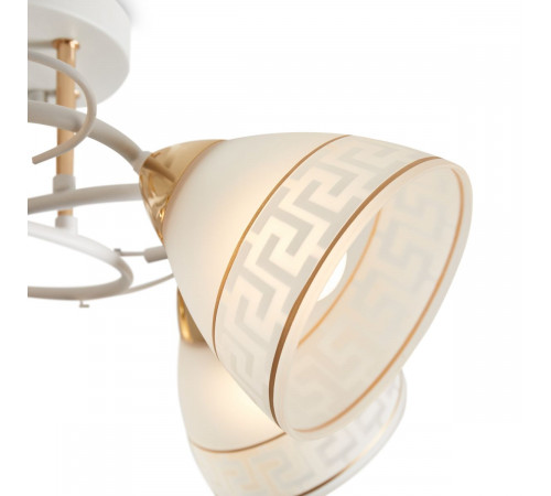 Потолочная люстра Freya Entle FR5465CL-05W