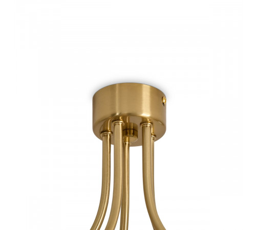 Потолочная люстра Freya Caramel FR5522PL-05BS