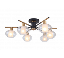 Потолочная люстра Freya Inga FR5073PL-06B