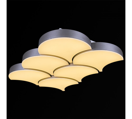 Потолочная люстра Reluce 01218-0.3-06LED