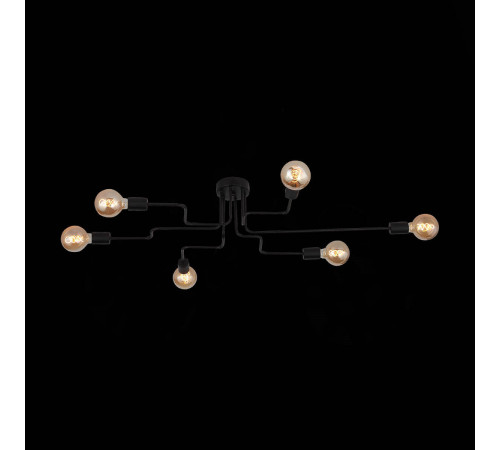 Потолочная люстра ST Luce Ano SL419.442.06