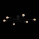 Потолочная люстра ST Luce Ano SL419.442.06