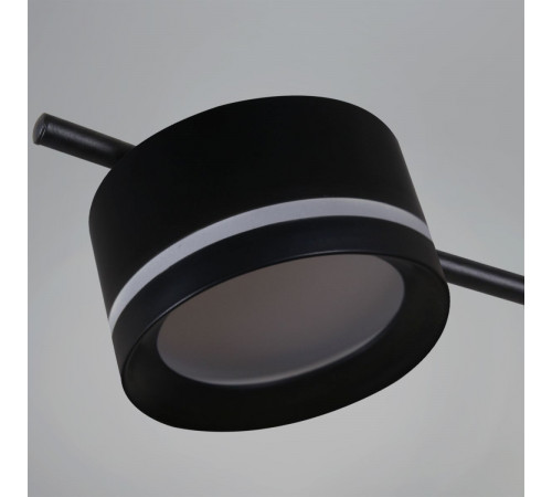 Потолочная люстра Reluce 10590-0.3-12 Black