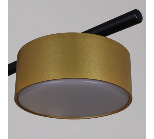 Потолочная люстра Reluce 52008-0.3-08 GX53