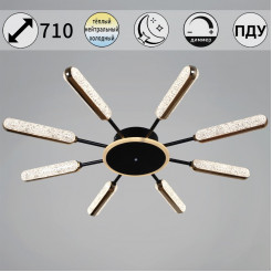 Потолочная люстра Reluce 08290-0.3-08 BK+GD