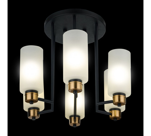 Потолочная люстра 33 Идеи CHN900.06.BL17.ASB-S16WH