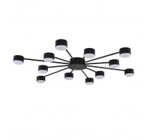 Потолочная люстра Lumion Comfi Torina 8344/12C