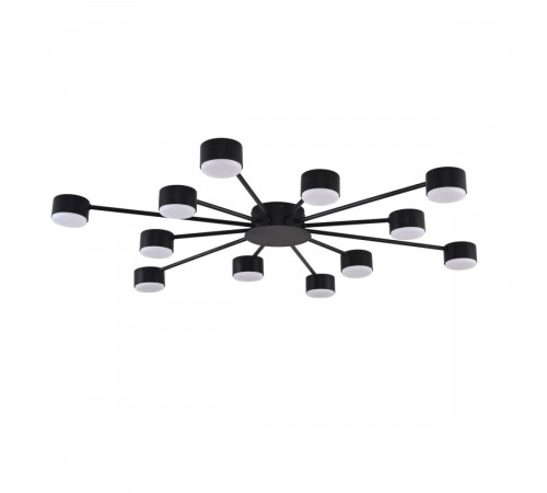 Потолочная люстра Lumion Comfi Torina 8344/12C