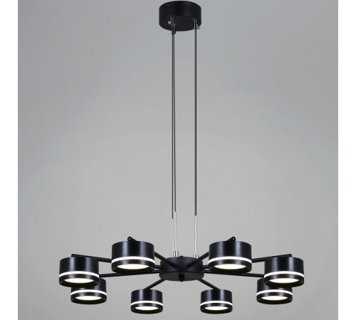 Потолочная люстра Reluce 19490-0.4-08 Black