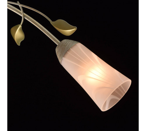 Потолочная люстра MW-Light Восторг 242015306 Потолочная люстра MW-Light Восторг 242015306