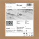 Потолочная люстра Freya Lillu FR5464CL-05CH
