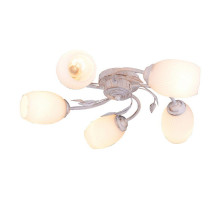 Потолочная люстра Escada 1118/5P
