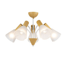 Потолочная люстра Escada Vardo 1131/5P