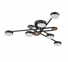 Потолочная люстра Arte Lamp Taygeta A2455PL-6BK