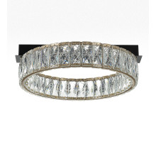 Потолочная люстра Citilux Palant CL325142