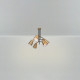 Потолочная люстра Freya Terra FR5260PL-06BS