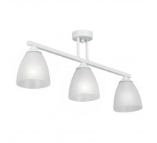 Потолочная люстра Vitaluce V49790-0/3PL