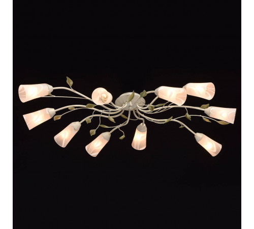 Потолочная люстра MW-Light Восторг 242015510