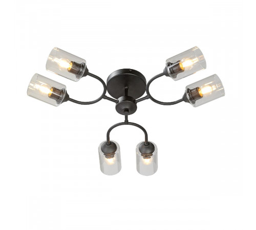 Потолочная люстра Vitaluce V2822-1/6PL