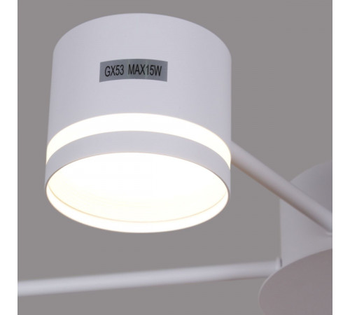 Потолочная люстра Reluce 06730-0.3-06 GX53 WT