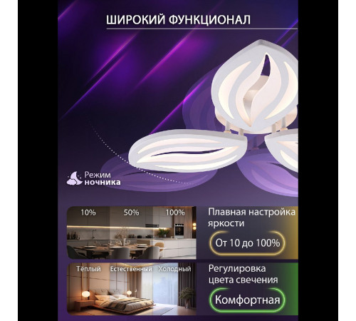 Потолочная люстра Natali Kovaltseva Sm LED LAMPS 81456 Потолочная люстра Natali Kovaltseva Sm LED LAMPS 81456